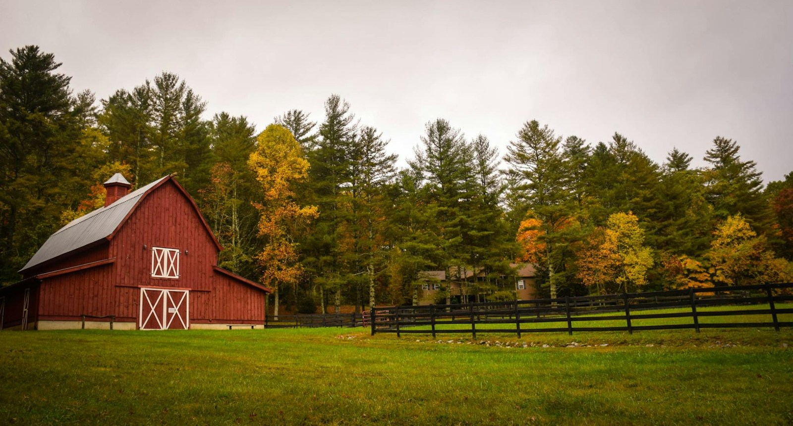 barn with farm insurance surrounded by trees